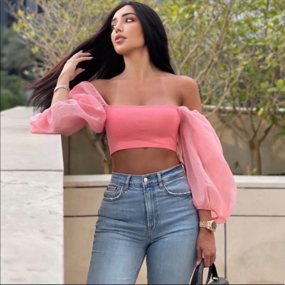 Zara Tops Zara Combination Organza Crop Top Poshmark